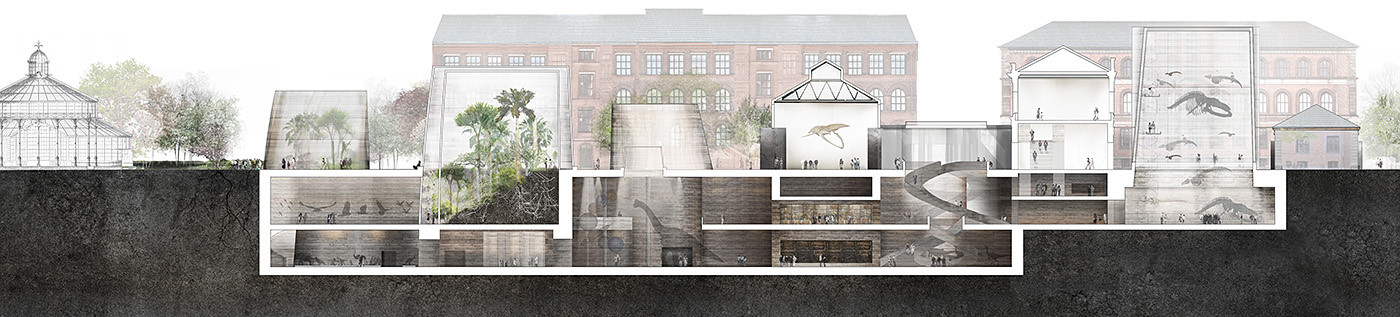 Foto: Statens Naturhistoriske Museum