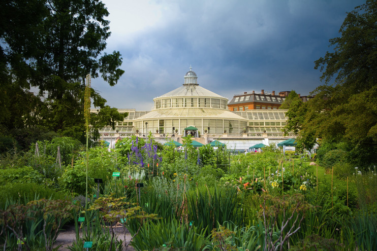 Det nye museum skal være en kilde til forundring, oplysning, læring og fornøjelse. Med den unikke beliggenhed i Botanisk Have bliver der mulighed for oplevelser ude og inde, over og under jorden. Foto: Birgitte Rubæk Det nye museum skal være en kilde til forundring, oplysning, læring og fornøjelse. Med den unikke beliggenhed i Botanisk Have bliver der mulighed for oplevelser ude og inde, over og under jorden. Foto: Birgitte Rubæk